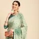 PISTA__REKHA MANIYAR