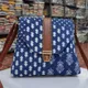 Blue__Raj ladies purse