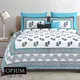 Turquoise__Quilt N Razai 
