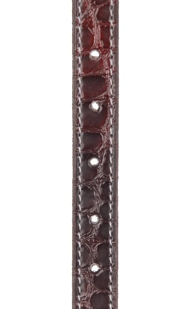 Exotique_Brown_Casual_Leather_Belt_For_Women_(BW0011BR)__Exotique