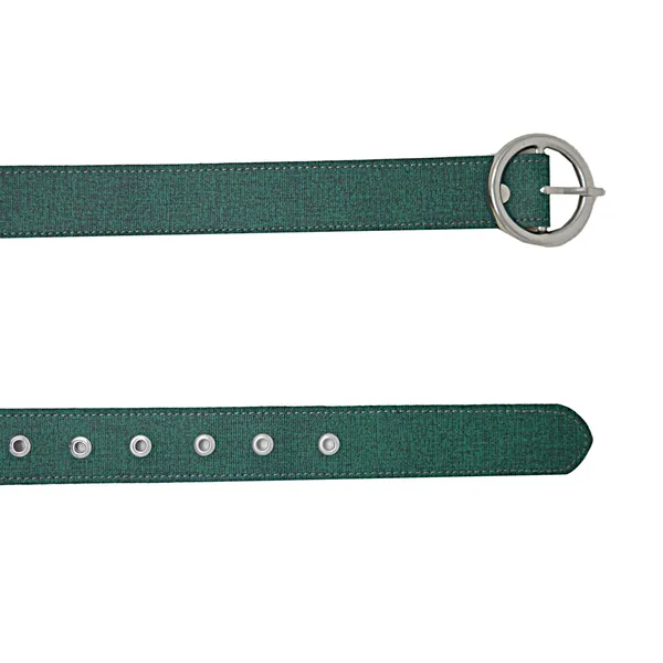 Exotique_Green_Casual_Faux_Leather_Belt_For_Women_(BW0030GR)__Exotique