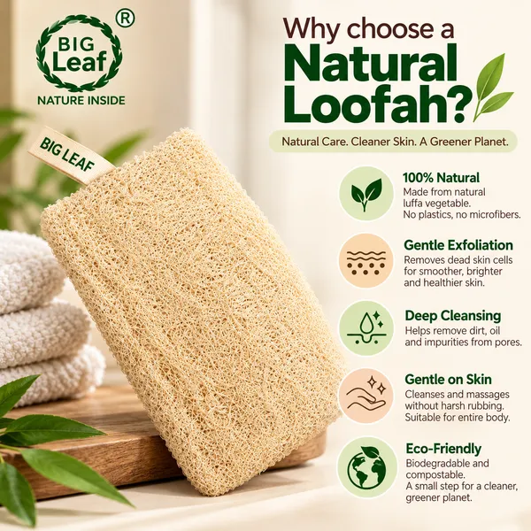 Big_Leaf_Natural_Sun_Dried_Bath_Loofah,_Body_Sponge_&_Scrubber_for_Men_&_Women_|_Organic_Loofah_for_Bath_Shower_Skin_Exfoliation_(Pack_of_2)