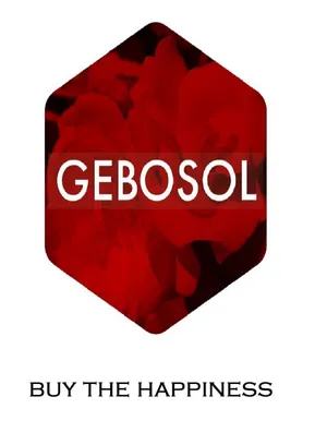 logo__Gebosol