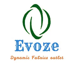 logo__EVOZE