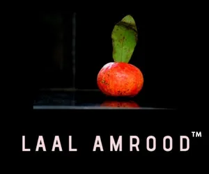 logo__Laal Amrood