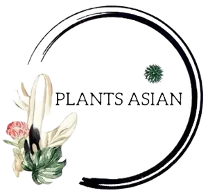 logo__Plants Asian