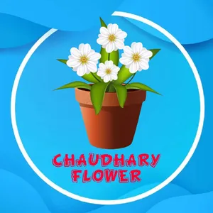 logo__Chaudhary Flower