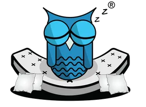 logo__SLEEPING OWLS