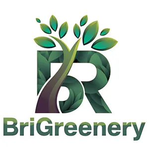 logo__BriGreenery