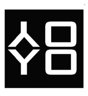 logo__YOYO FASHION INDIA PVT LTD