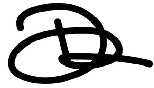 logo__Desi Rang
