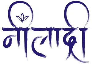 logo__NEELADRI FABS