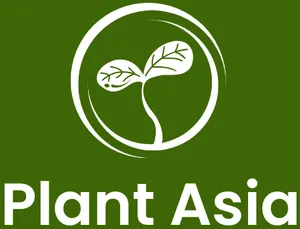 logo__Plant Asia