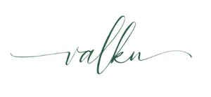 logo__Project Valkn