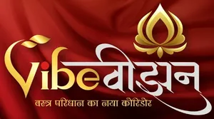 logo__VIBE VISION