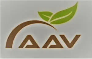 logo__AAV World