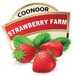 logo__Coornoor strawberry 