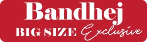 logo__Bandhej
