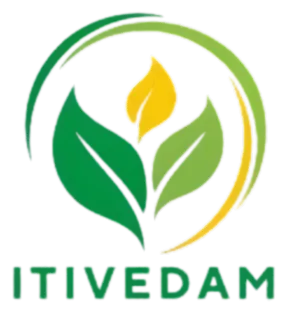 logo__ITIVEDAM