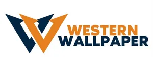 logo__VARUN SAINI