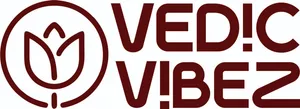 logo__Vedic Vibez
