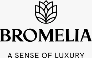 logo__BROMELIA (DEV LIFE STYLE)