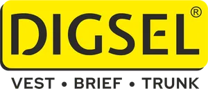 logo__Digsel