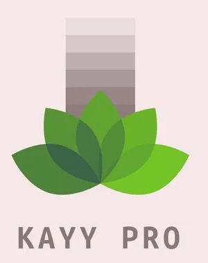 logo__Kayy Pro