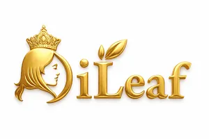 logo__Dileaf