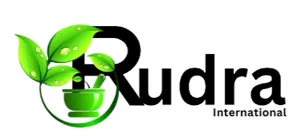 logo__Rudra International