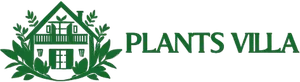 logo__Plants Villa