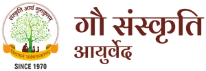 logo__Sanskrutigurukulam
