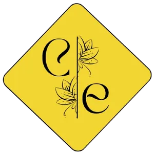 logo__Charm N Elegance