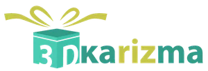 logo__3D Karizma