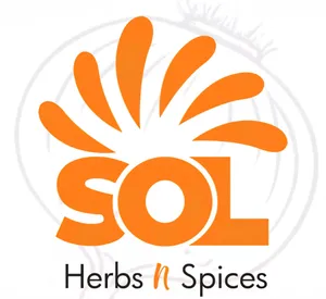 logo__SOL DE INDIA