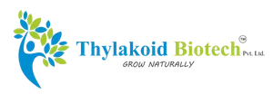 logo__THYLAKOID