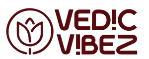 logo__VEDIC VIBEZ