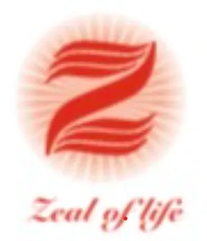 logo__ZORWAY 