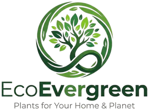 logo__ECOEVERGREEN 