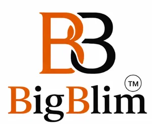 logo__Bigblim