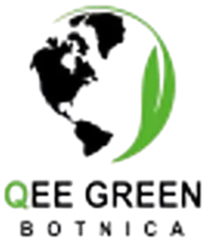 logo__QEE GREEN 