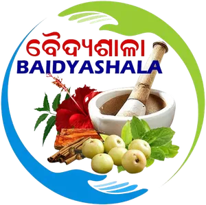 logo__BAIDYASHALA