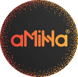 logo__AMIHA