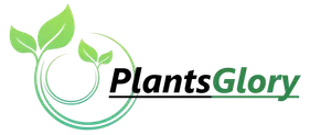 logo__Plants Glory