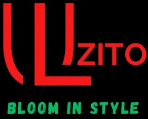 logo__LUZITO