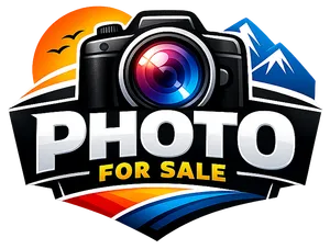 logo__PHOTO HUB