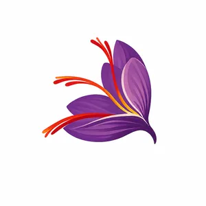 logo__HOUSEOFSAFFRON