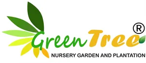 logo__GREEN TREE NURSERY 