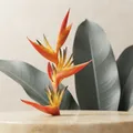 Green_Living_Tropicals__Brething Art