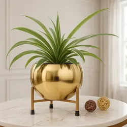 Style_Your_Space_Planters__ONEAREME